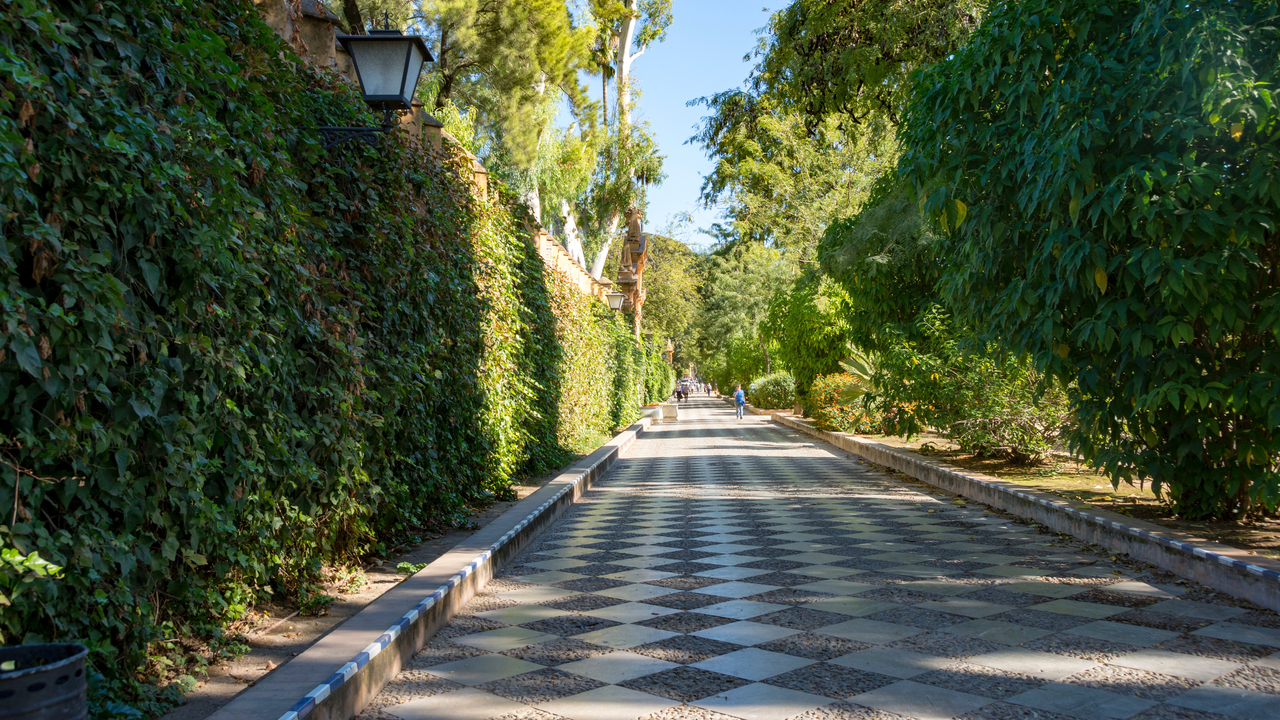 20171003 110659 , Sevilla, Andalusia, Spain